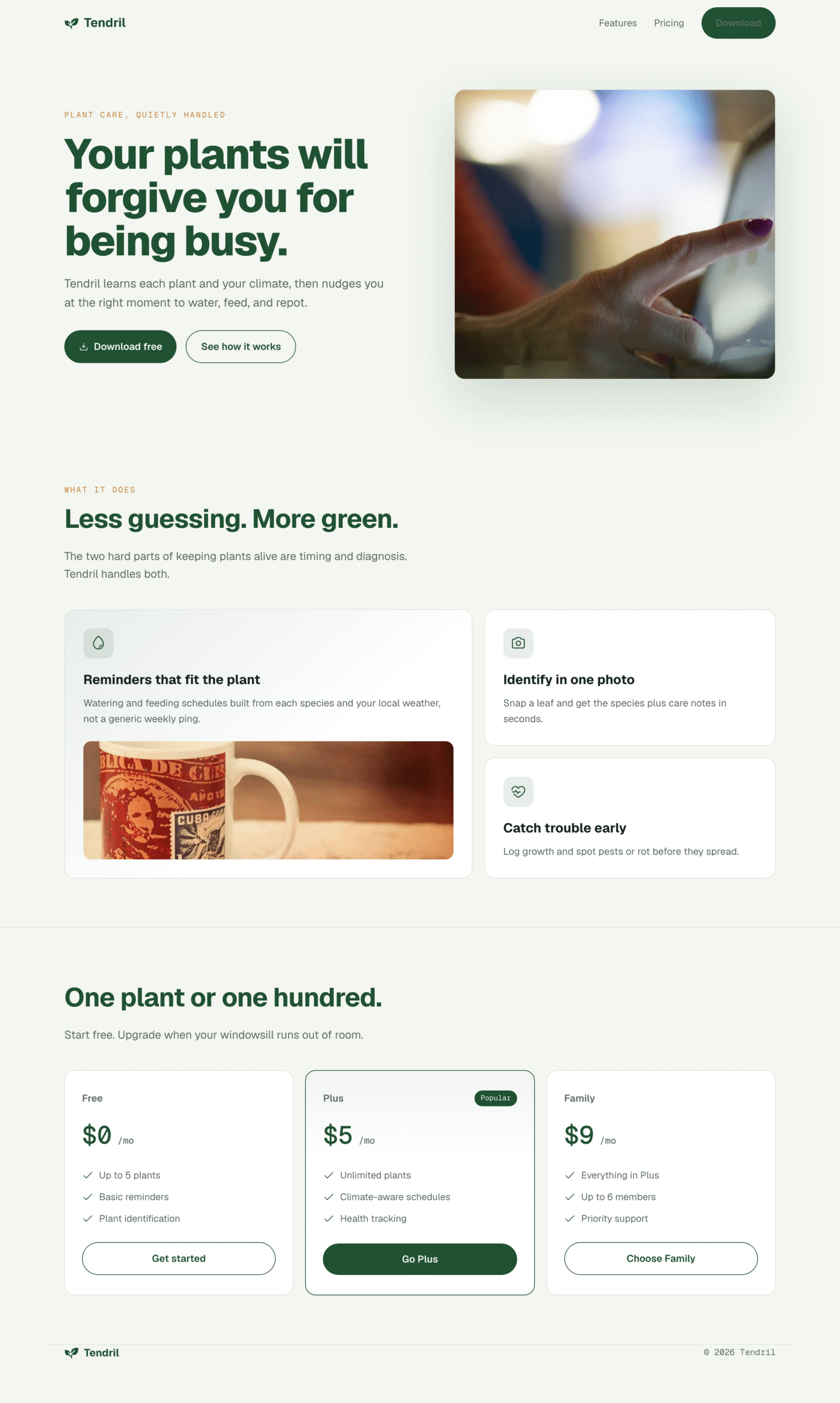 TasteSkillで生成した消費者向けアプリのランディングページ。forest系の配色、非対称ヒーロー、実画像、非対称ベント