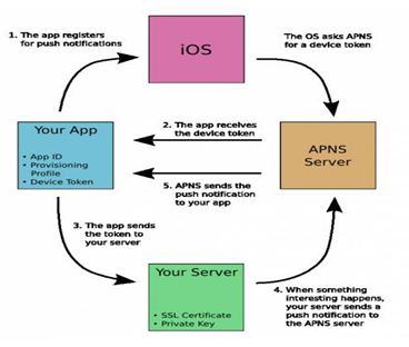 ios-push-notification